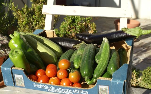 Holiday Home With Garden in Kritinia