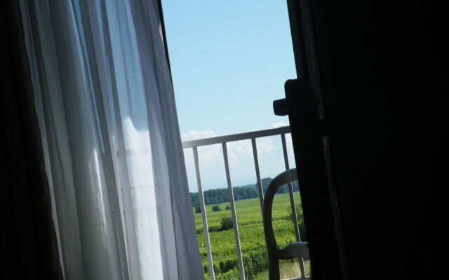 Hotel L'Oraye - Colmar Ouest