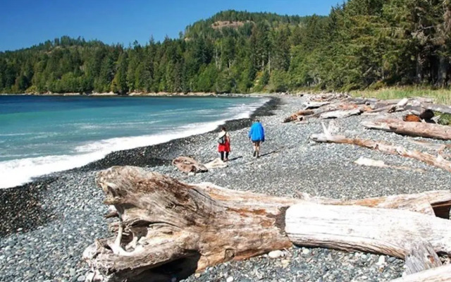 Seagull Studio Vacation Guest Suite