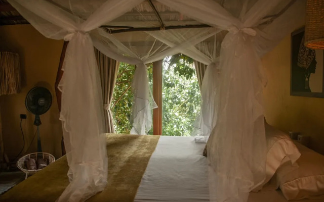 Ecoxata - Adults Only