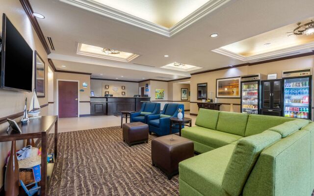 Comfort Inn & Suites St. Pete - Clearwater International Airport