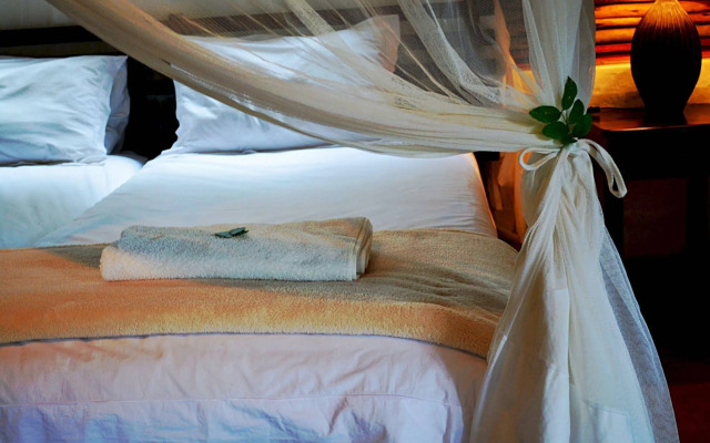 Royal Thonga Safari Lodge