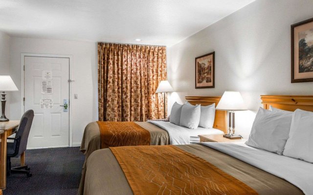 Comfort Inn & Suites Sequoia/Kings Canyon