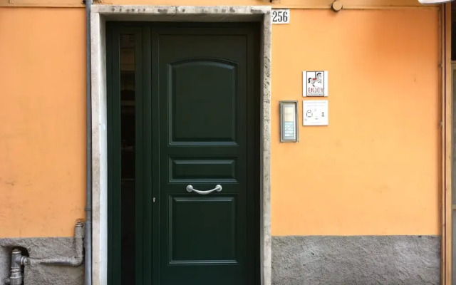 Prione 256