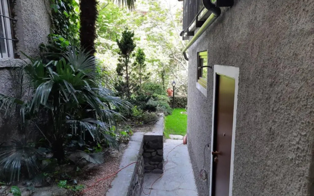 The Ivy House in the Castle