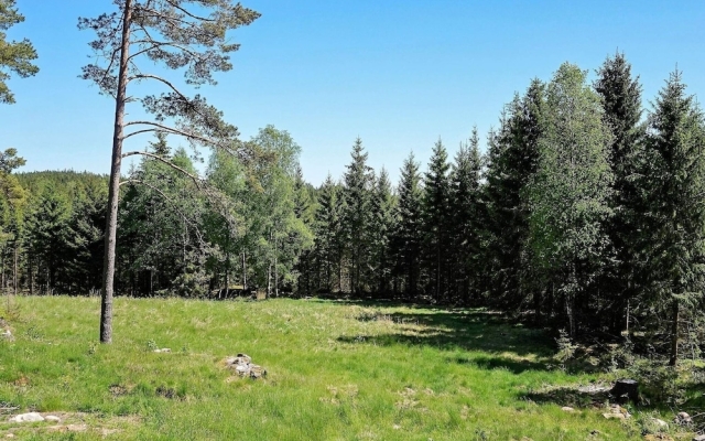 Holiday Home in Töllsjö