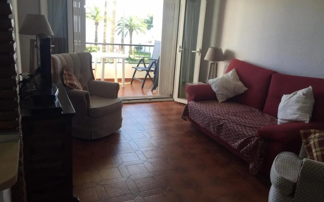 Palmeras 43 Menyber