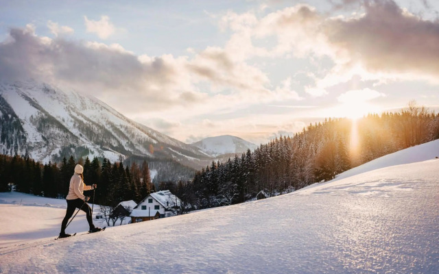 Das Haus am Berg: Nestelberg17