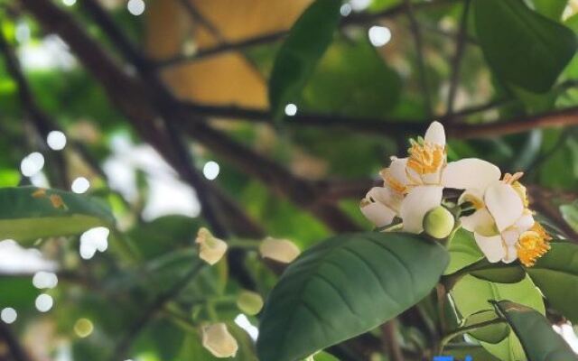 Yihai Homestay (Weizhou Island Wucaitan Branch)