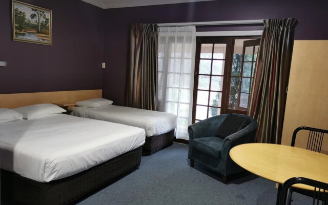 Poplars at Mittagong