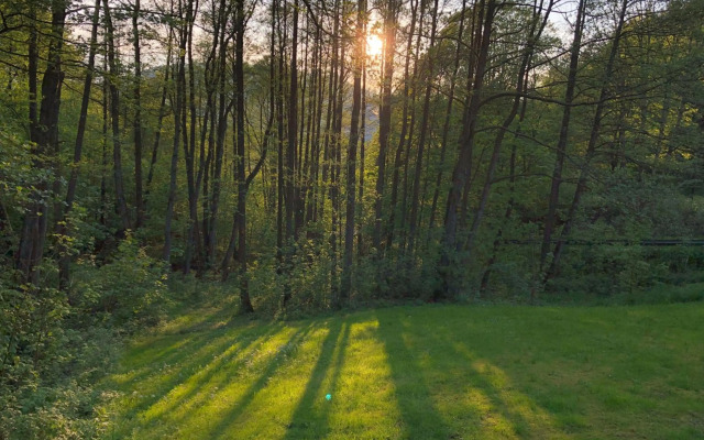 Ferienchalet-Floesswehrtal