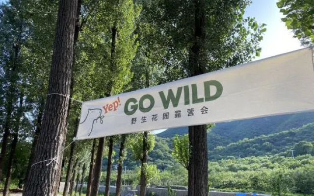 Wild Garden