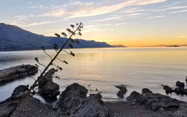 Apartments Clementina Sunrise