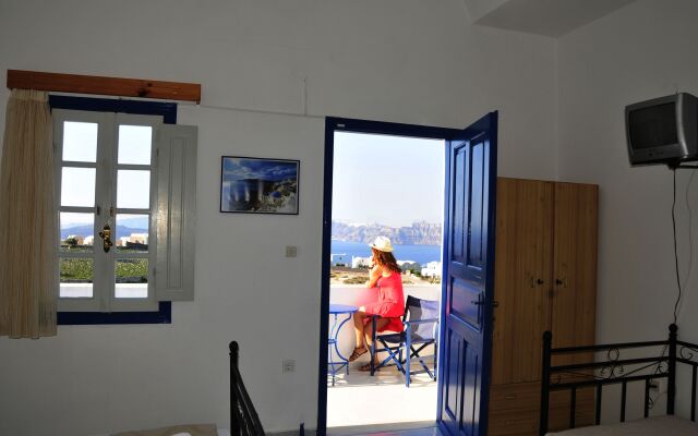 Thira's Dolphin