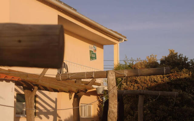 Almagreira Surf Hostel