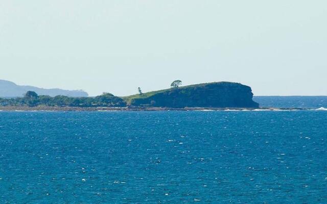 Headland Tropicana