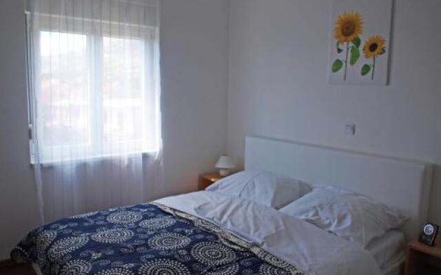 Apartments Nova