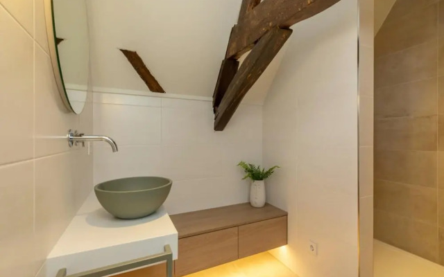 Farmhouse in Zeeland With Windmill Views