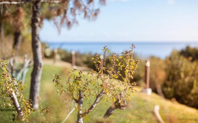 Masseria Torre di Albidona