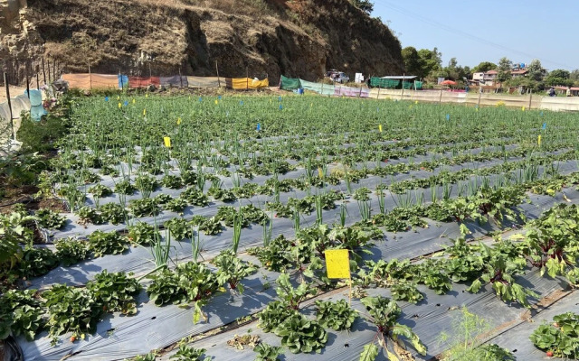 Lake Paradise Mahabaleshwar