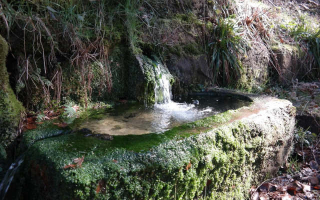 Ferienwohnung Am Wald
