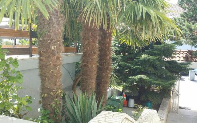 Apartments Villa Ana