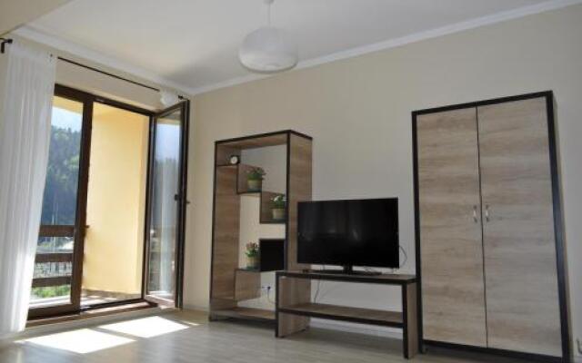 Apartament Holiday Busteni