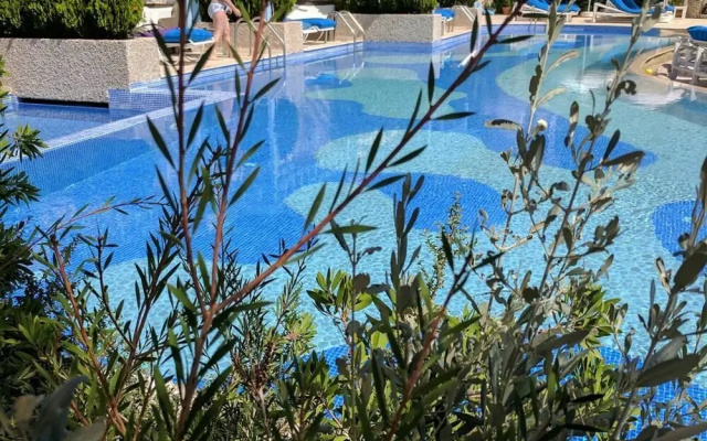 Kalkan Asfiya