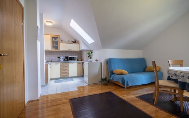 Apartments and Room Robert