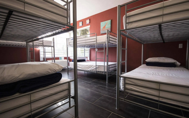 Beds n' Drinks Hostel