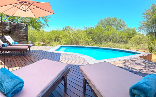 Wild Dog Guest Lodge