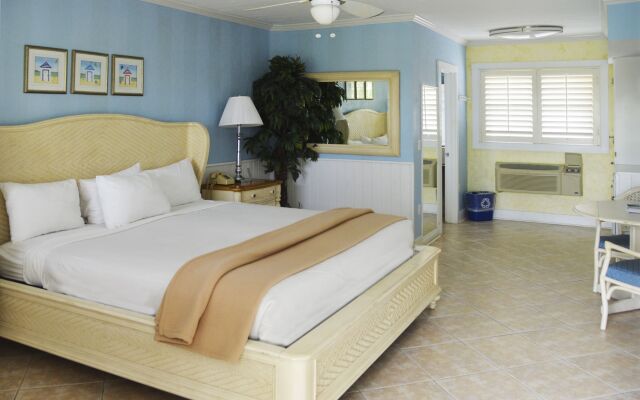 Lemon Tree Inn