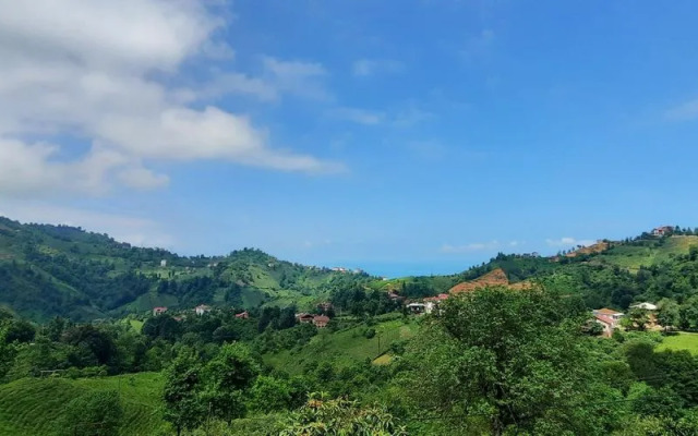 Patik Pansiyon