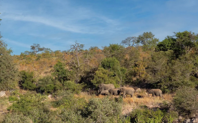 Motswari African Retreat & Walking Safaris by Newmark