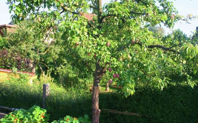 Cozy Cottage in Winterstein Thuringia near Ski Area