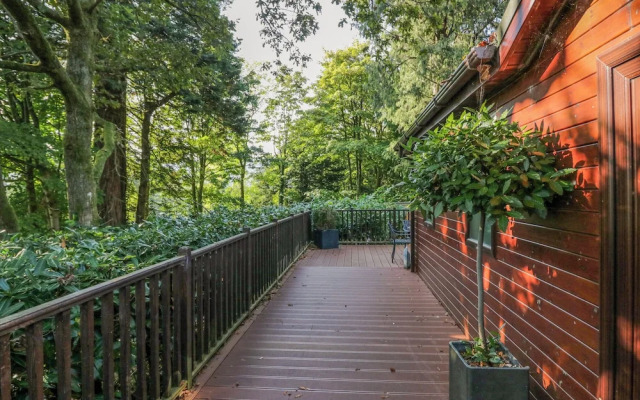 Tree House, Partial Lake Views