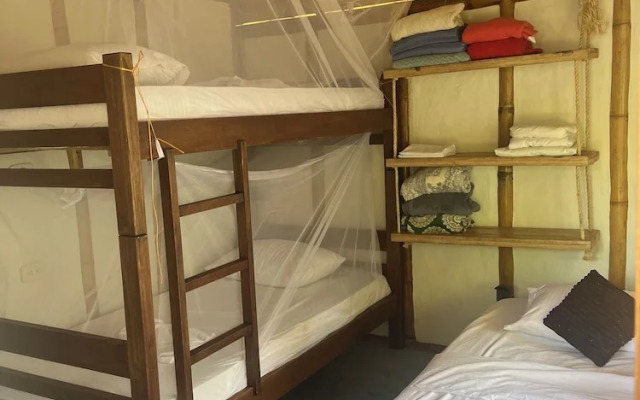 Tree of Life - Hostel