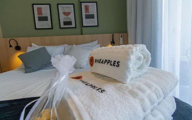 Sp-p1504a Zonax in S o Paulo