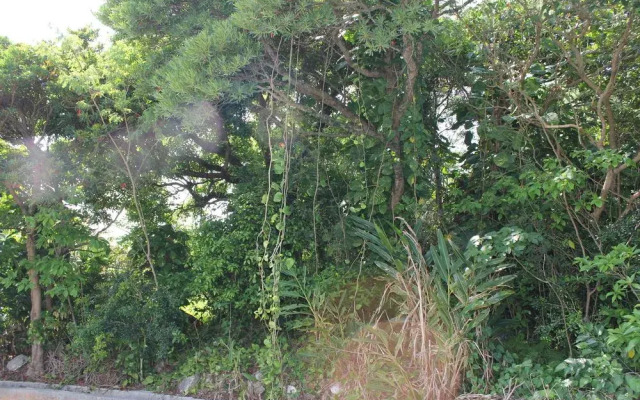 UMIKAJI-AN