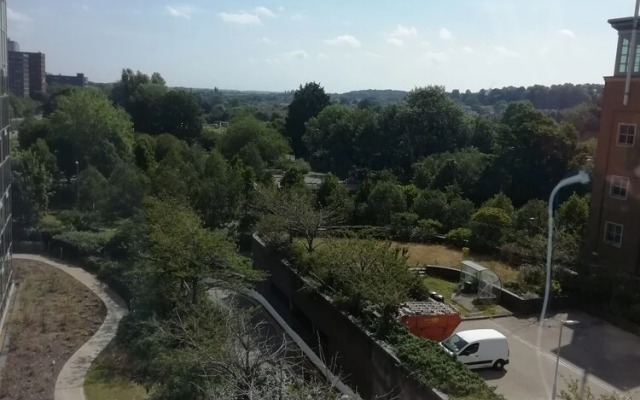 Luxury One Bedroom Apartment