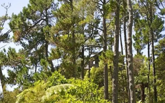 Treetop Oasis - Tairua Executive Holiday Home