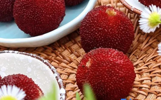 Lingshang Niugongshan Homestay