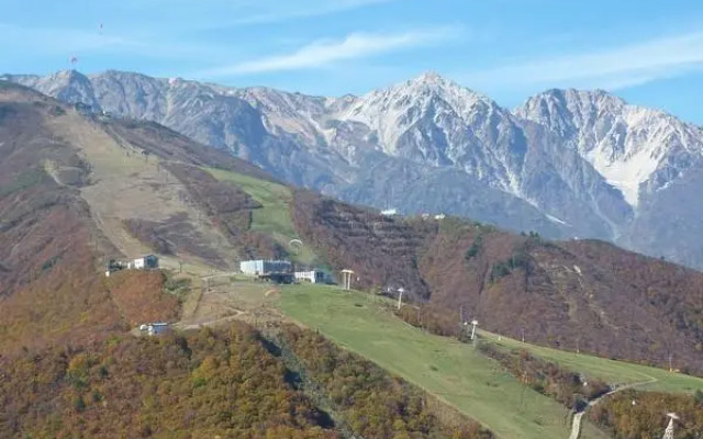 Pension & Cottage Shokubutsushi