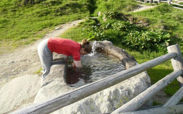 Appartements Respiration Almhaus Pfister