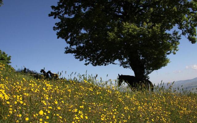 Agriturismo Il Regio Tratturo