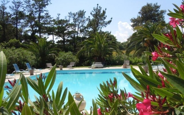 Relais De Bravone