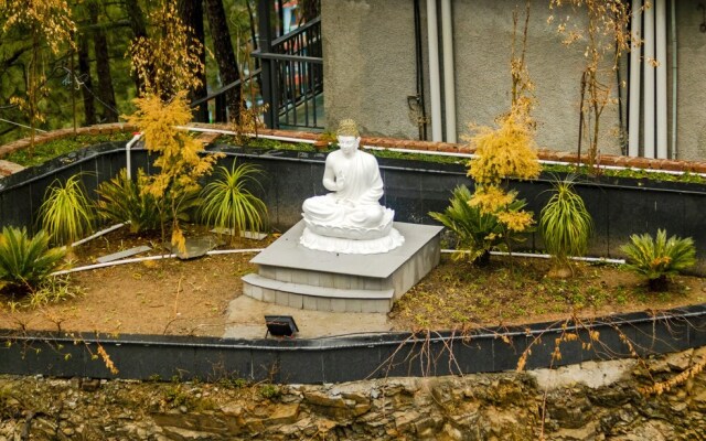 Golden Fern Resort