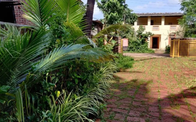 Oasis Resort