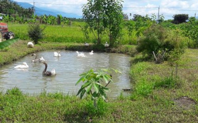 Kelly Field Homestay