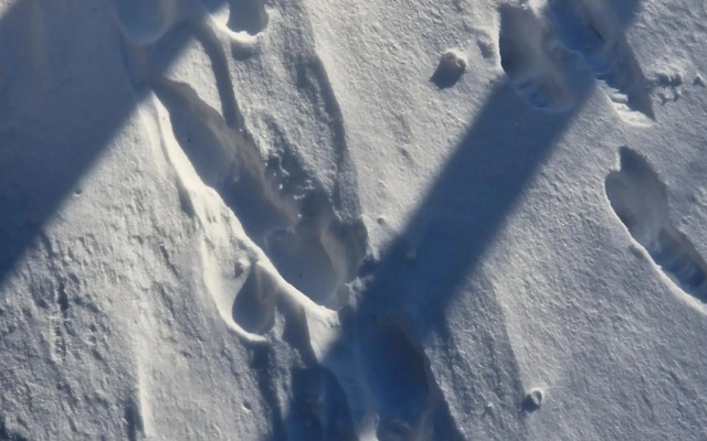 Ferienwohnung "Auszeit"